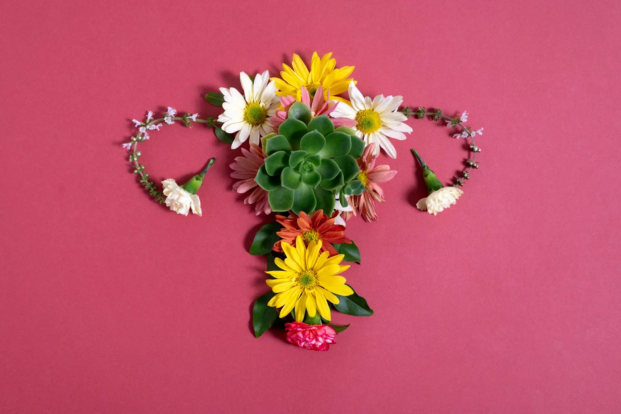 Blog Péri-Ménopause solutions naturelles Naturopathe - Cesson-Sévigné-Rennes