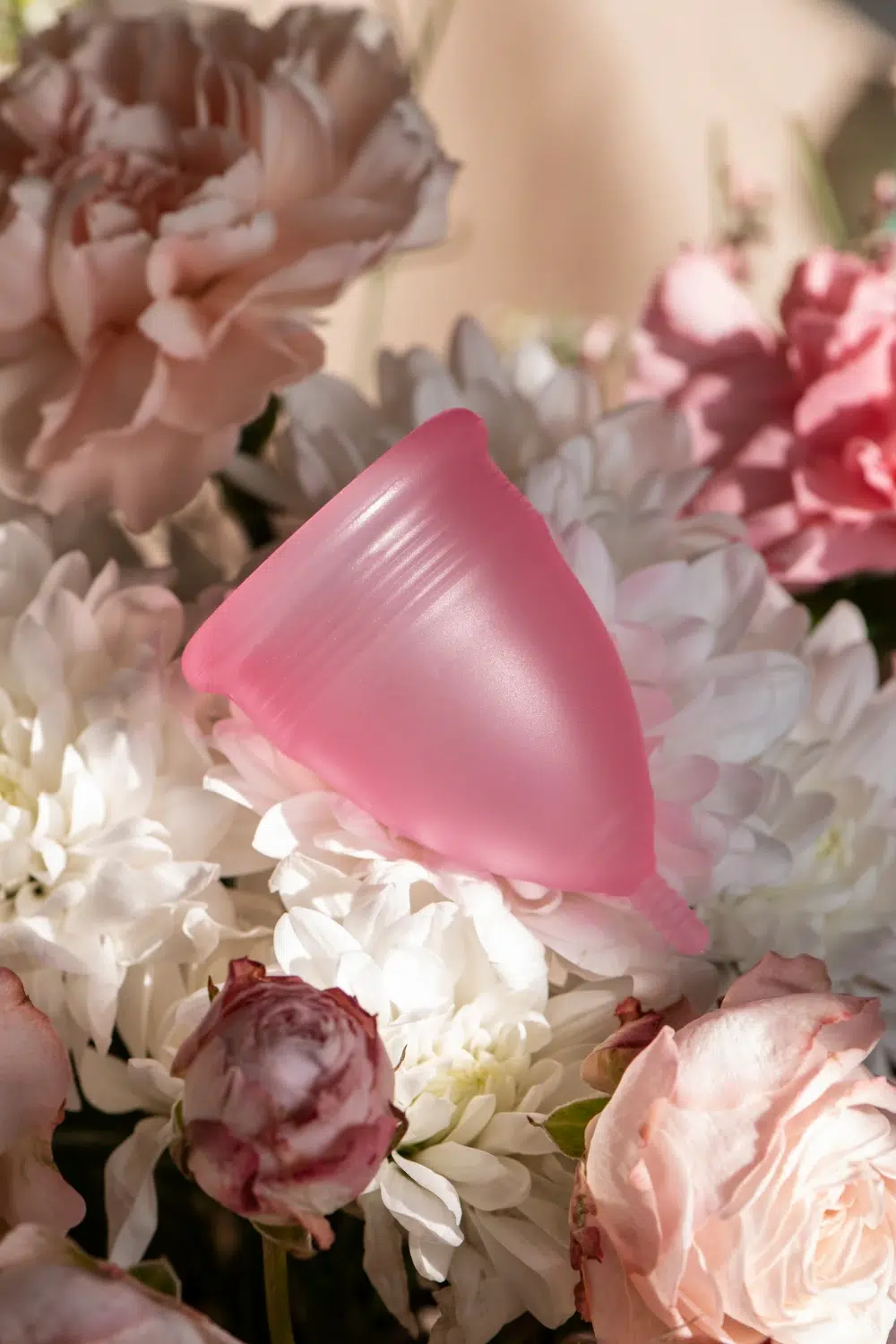 Cycle menstruel Ophélie Marques naturopathe santé féminine Cesson-Sévigné-Rennes